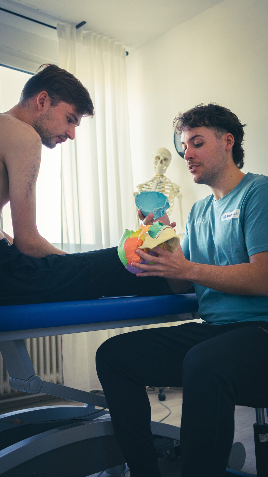 Der Osteopath erklärt die Schädelknochen in der Behandlung an einem Modell